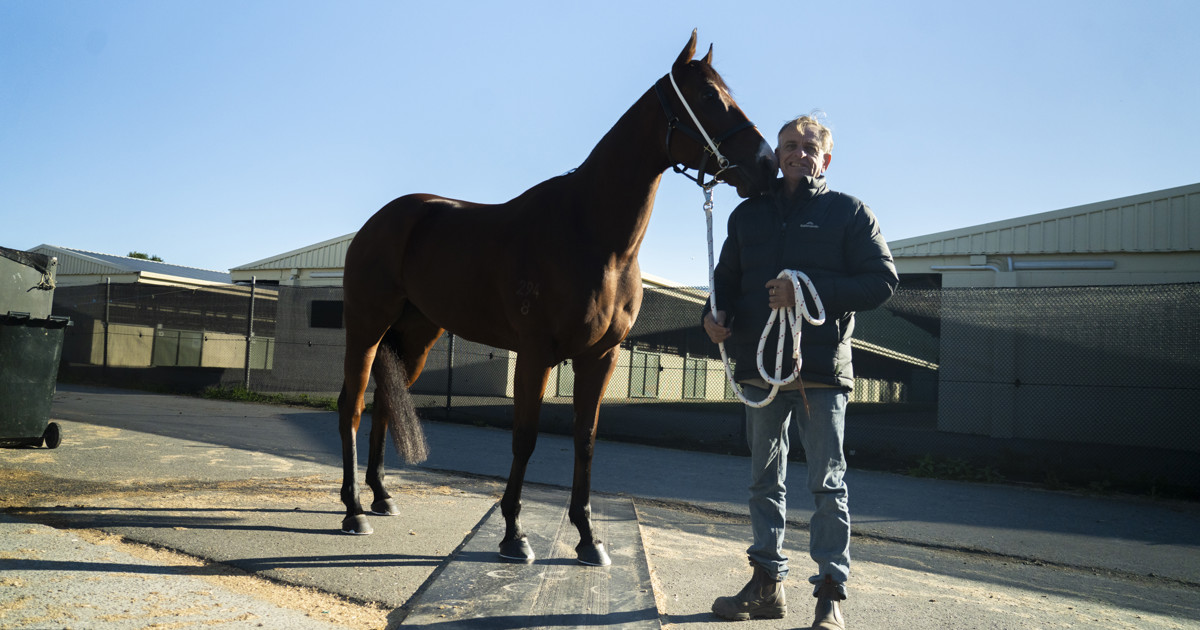 McColm not taking it easy for Glasshouse Handicap :: Racing Queensland