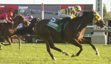 Patches O’Houlihan, Canada’s reigning Horse of the Year, humanely euthanized