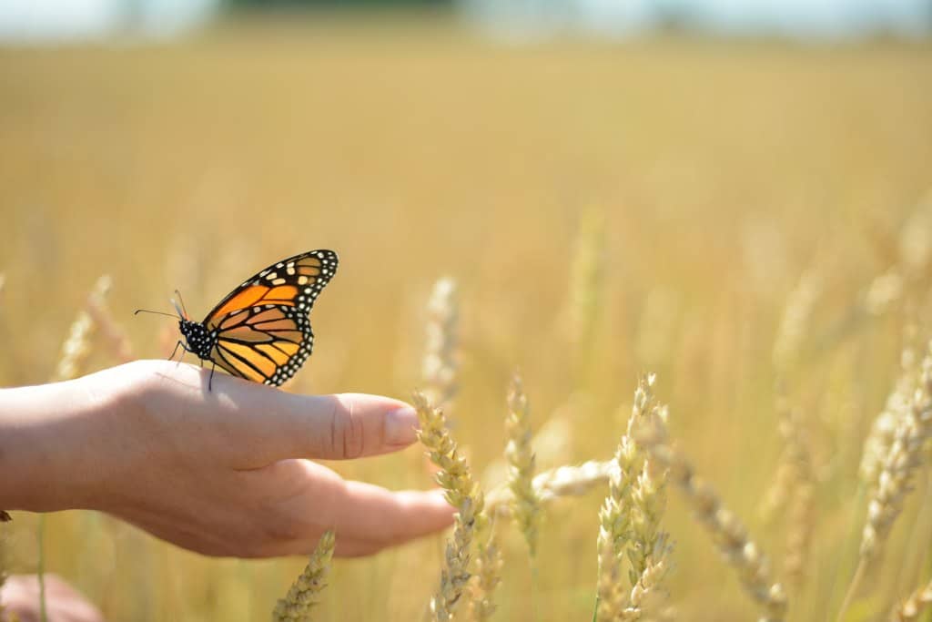 Only the Good Stuff: Multivitamins For Your Weekend {07.26.2025}
