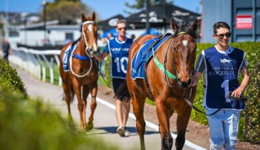 Gary Harley - Herald - 15.07.25