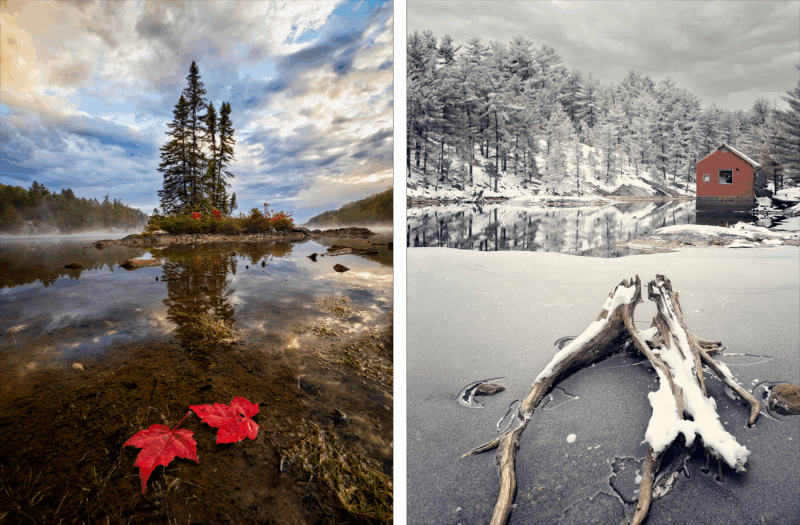 A split image showing a vibrant autumn scene with red leaves and tall trees by a lake on the left, and a winter landscape with snow-covered trees, a red cabin, and icy water on the right.