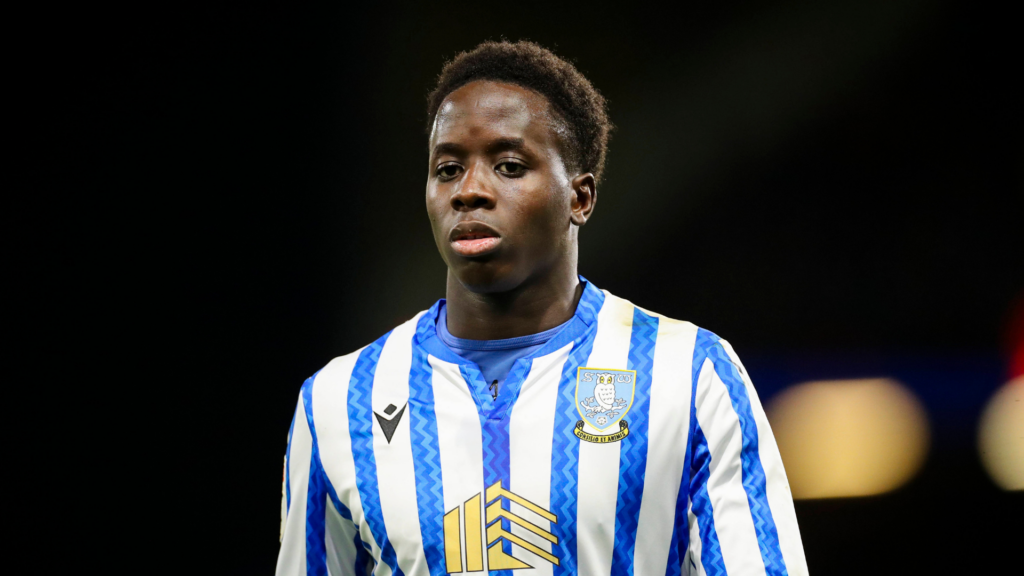 Djeidi Gassama Sheffield Wednesday