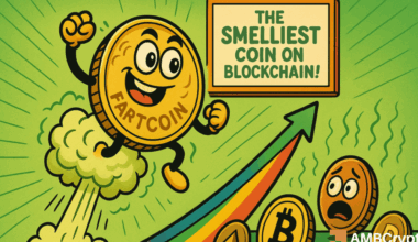 Who made Fartcoin and what does it do?