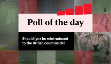 Poll of the day: Should lynx be reintroduced to the British countryside?