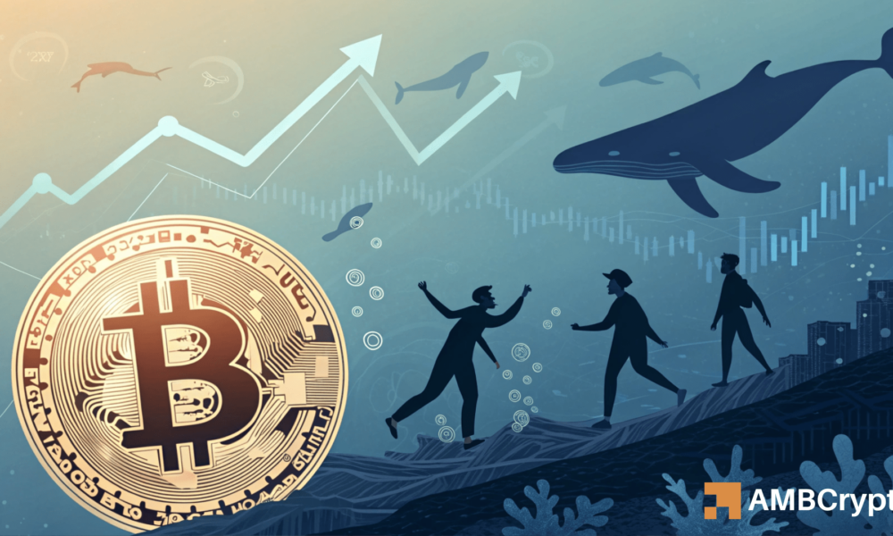 Bitcoin - Examining if BTC could rally +20% before bears step in