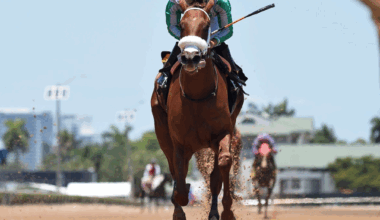 Florida-bred Evolution Heads to Saratoga for Schuylerville off Maiden Victory