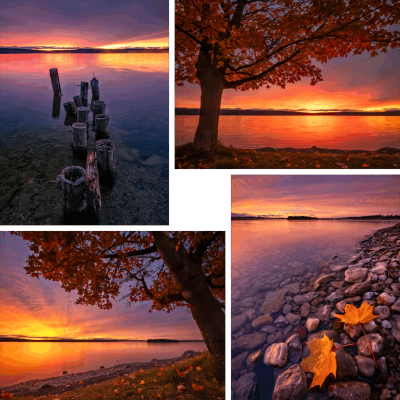 A collage of autumn lake scenes at sunset, featuring vivid orange skies, a tree with fall leaves, wooden posts in water, fallen leaves on grass, and yellow leaves on rocks by the shore.