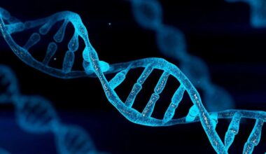 25 years on from first draft of human genome