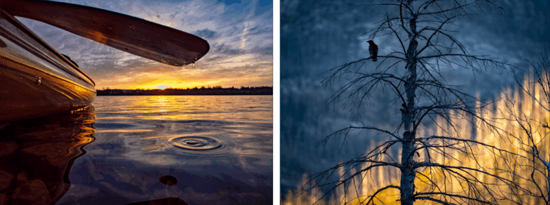 A split image: on the left, a canoe paddle touches calm lake water at sunset; on the right, a solitary bird sits atop a bare tree silhouetted against a dramatic sky.