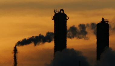 Meat giant profits from carbon market without halting deforestation