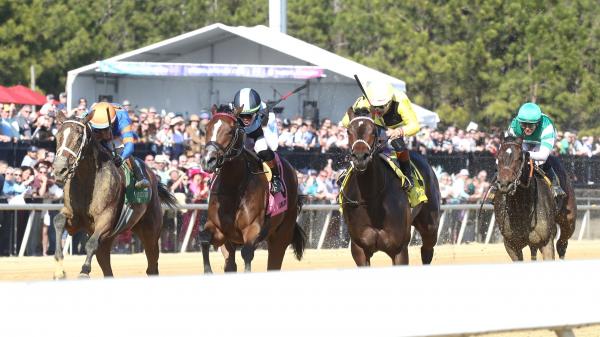 Betting a New York Invader to Win the Miss Disco Stakes
