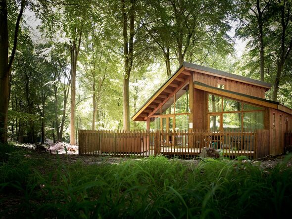 Accommodation at Forest Holidays