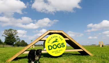 New dog park opens in Edinburgh
