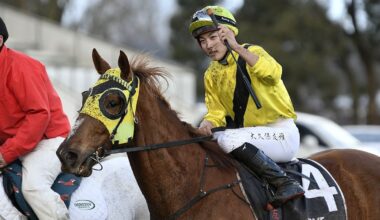 Mick On Monday: Pike pair could be two new stars of the saddle