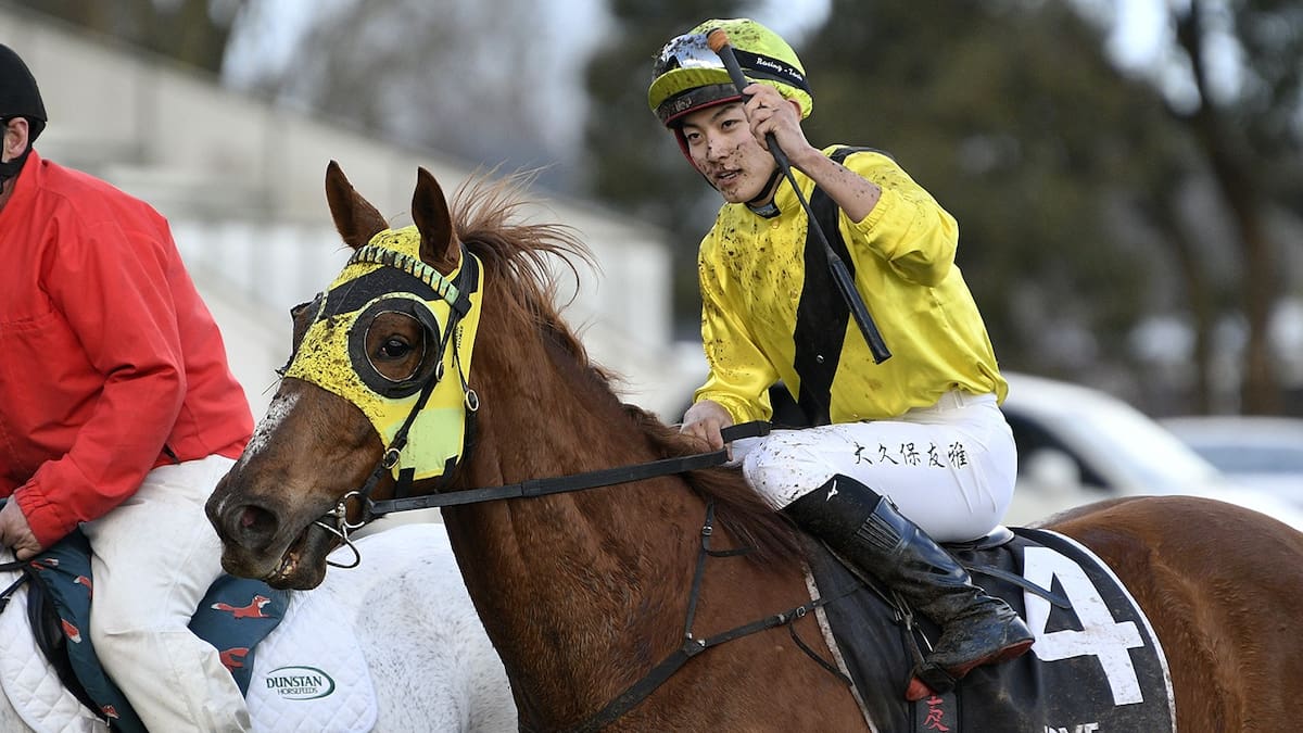 Mick On Monday: Pike pair could be two new stars of the saddle