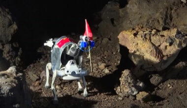 a small white dog-like robot explores a rocky cave