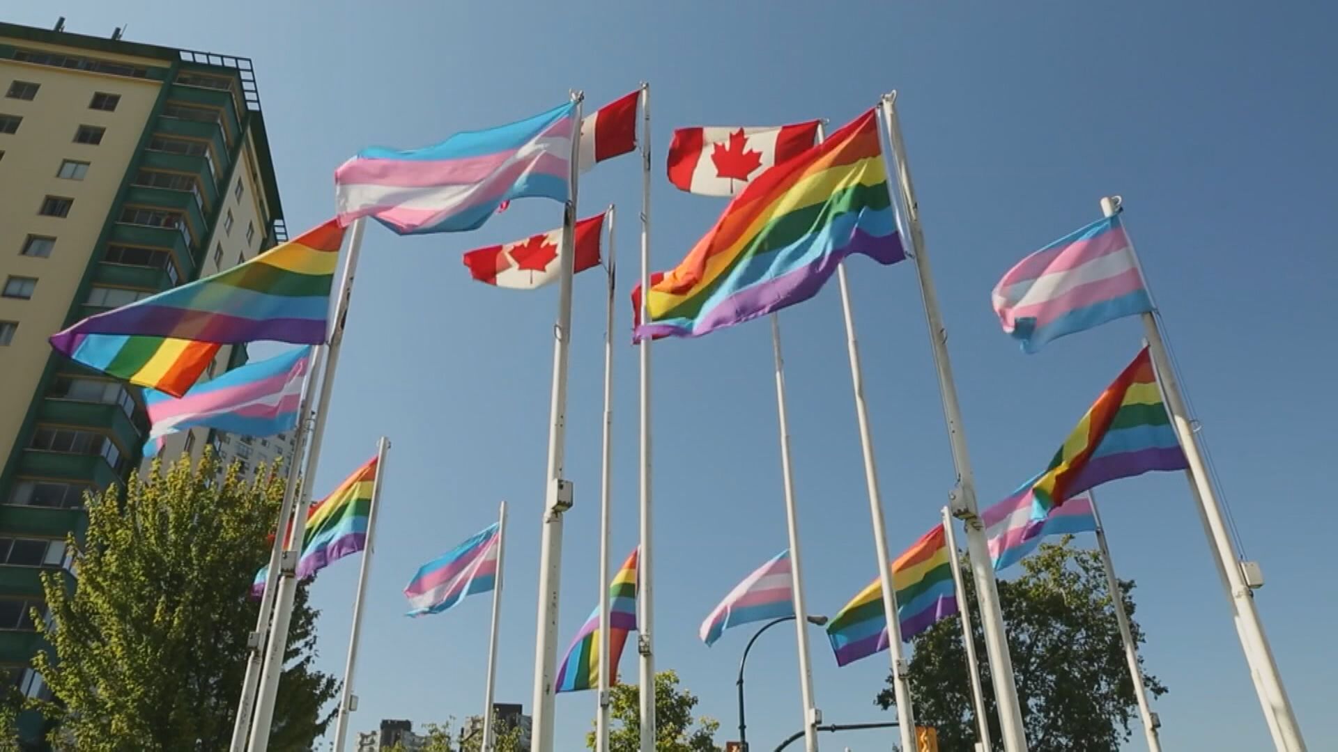 Click to play video: 'Ipsos poll reveals Canada leads world in LGBTQ2S+ rights'