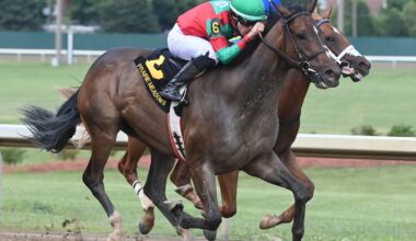 Unbeaten Good Civilian Tops Inglis Digital USA July Sale