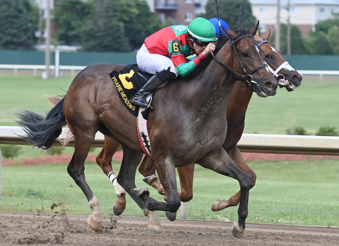 Unbeaten Good Civilian Tops Inglis Digital USA July Sale
