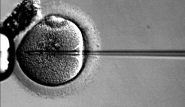 Gene therapy brings back hearing in young and adult deaf patients