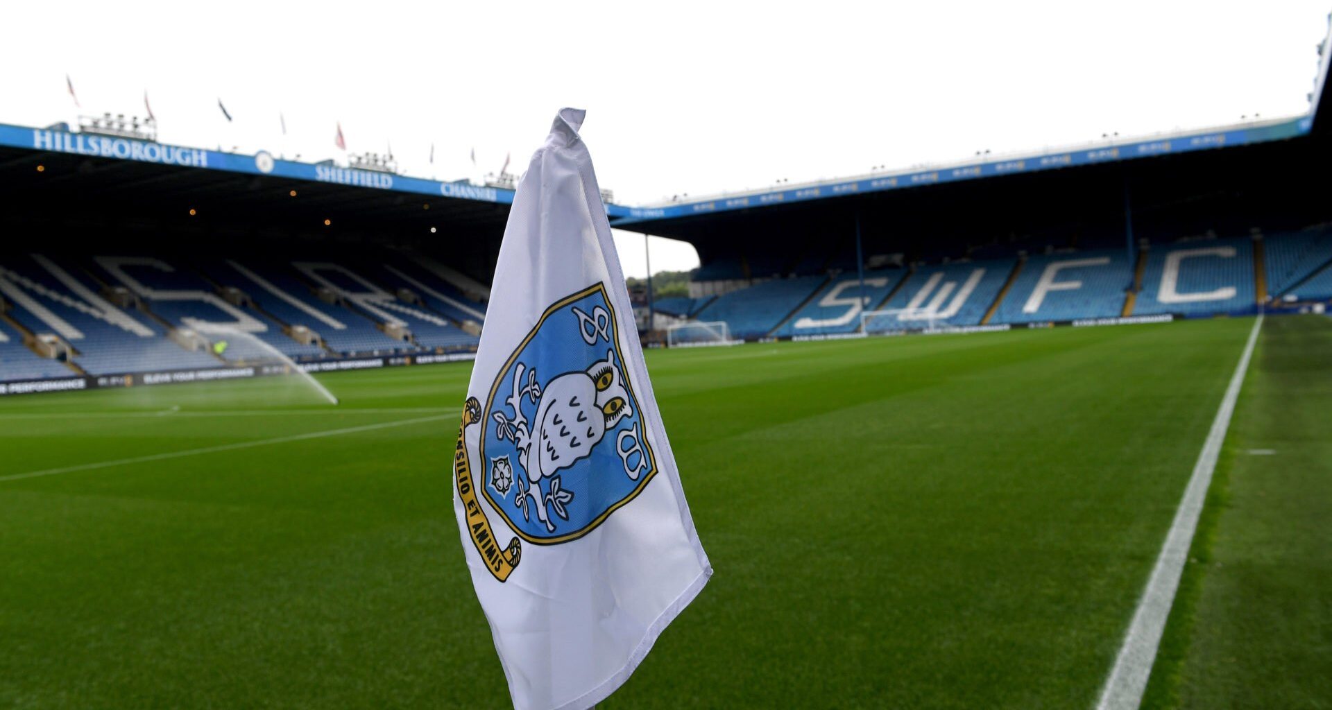 Sheffield Wednesday transfer update as Owls make definitive decision on released Championship player