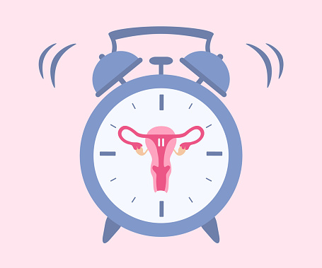 Menopause Concept With Uterus And Alarm Clock