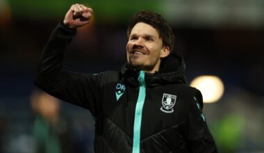 Sheffield Wednesday fans finally have something to cheer about this summer, but there's a catch