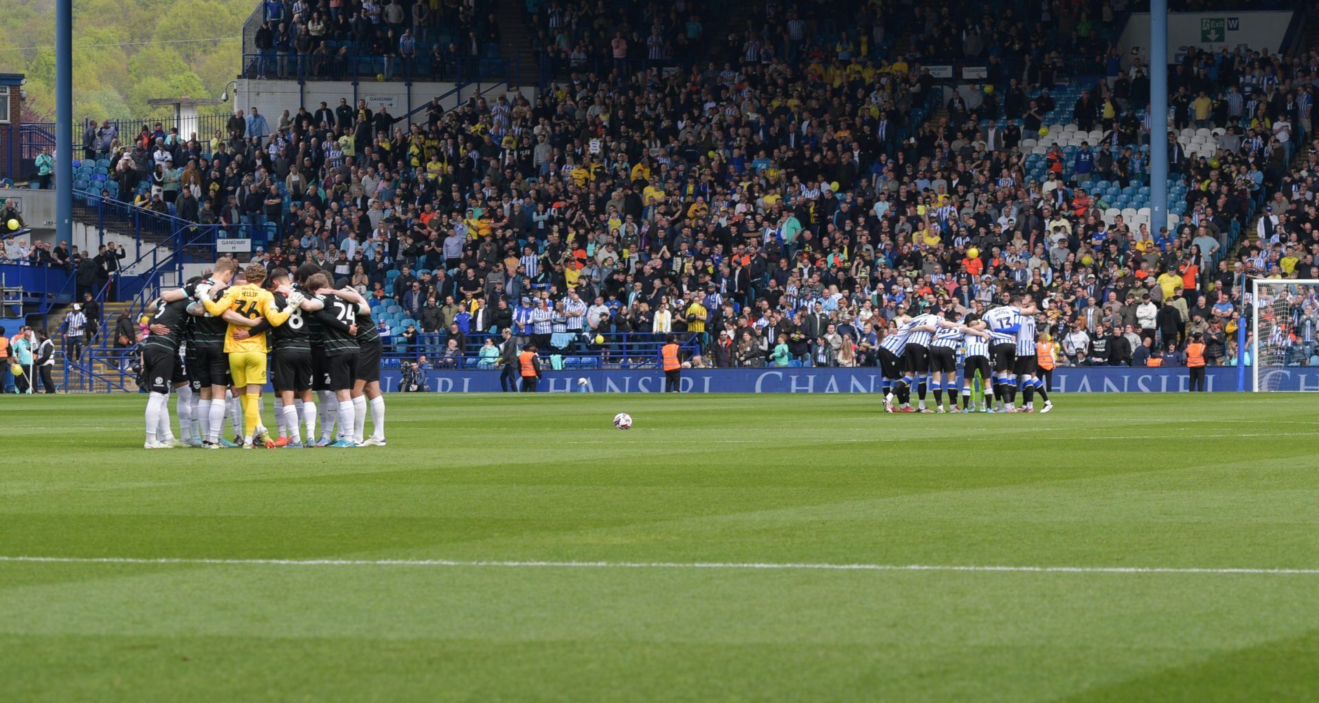 How Sheffield Wednesday’s squad size compares to Championship rivals as Chansiri creates alarming situation