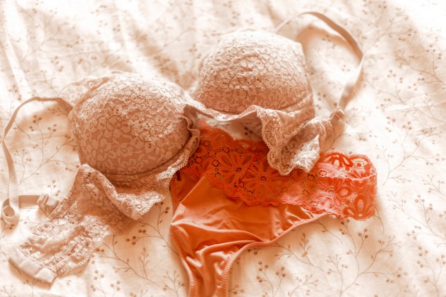 perfume, bra, and underwear.