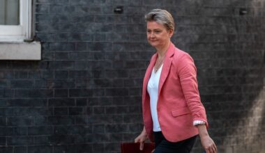 The youth mobility scheme is just the start of a Brexit reversal