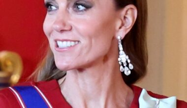 Catherine, Princess of Wales attends the State Banquet
