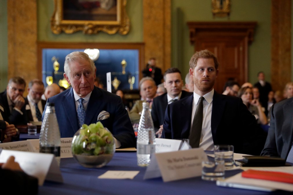Prince Harry and Prince Charles, Prince of Wales 