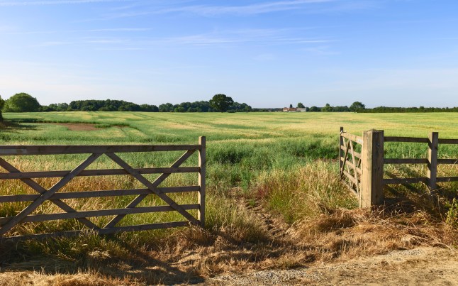 Open gate into agricultural landscape in summer, Beverley, Yorkshire, UK.