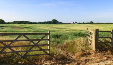 England’s best tourist experience is so ‘perfect’ animal lovers want to live there