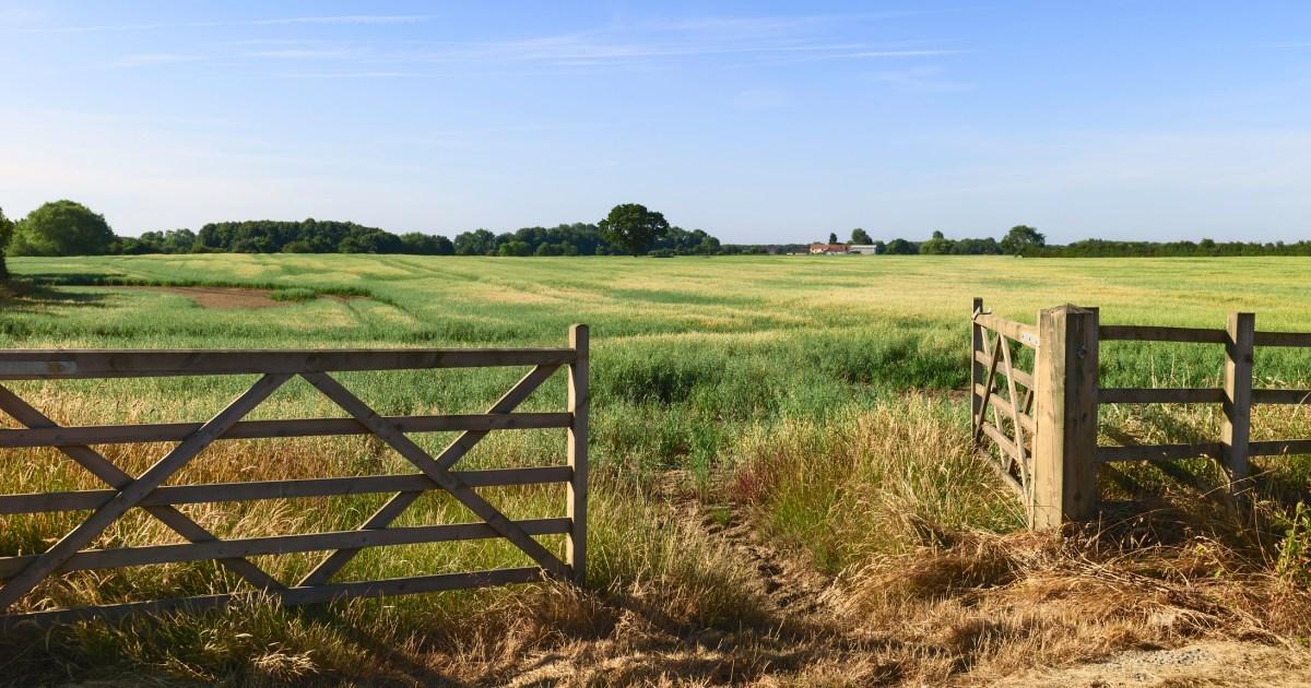 England’s best tourist experience is so ‘perfect’ animal lovers want to live there