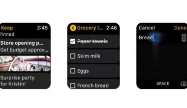Google kills its Keep app on Apple Watch