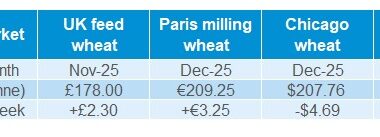 Grain futures 14 07 2025