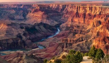 Expedition finds rare and exquisite trove of ancient animals deep in Grand Canyon