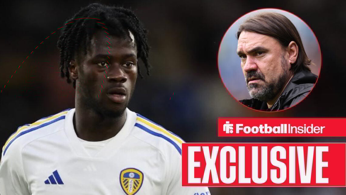 Darko Gyabi Daniel Farke, Leeds United