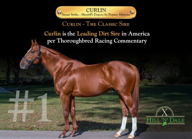 Hill 'n' Dale (Curlin) 7-17-25