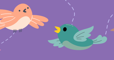 Birds Of A Feather Trail — Sheffield Cathedral