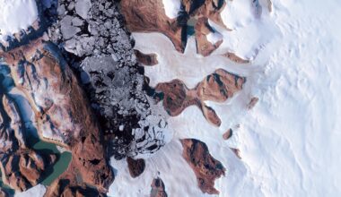 Harder Glacier, northern Greenland