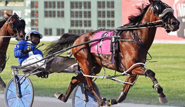 McCoy: Gillespie An Outstanding 'Fair' Harness Driver