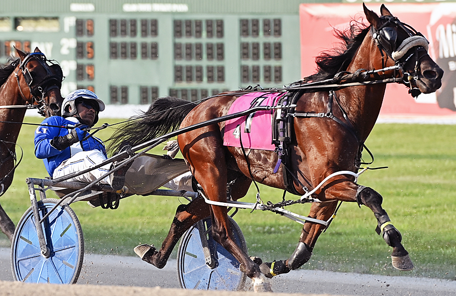 McCoy: Gillespie An Outstanding 'Fair' Harness Driver