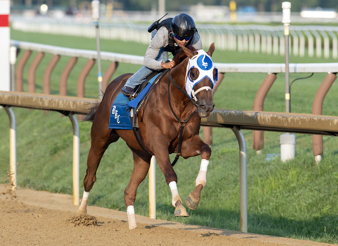 Highland Falls works at Saratoga