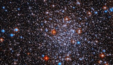 Bright stars cluster against a black background. The stars are more densely concentrated in the center of the image. The stars appear mostly white, but bright red and blue stars are also visible sprinkled throughout the image.