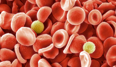 Researchers Identified New Blood Group After 50 Year Mystery : ScienceAlert