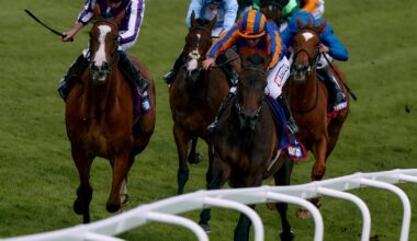 O’Brien confirms Minnie Hauk on course to try and become 16th filly to complete Oaks double – The Irish Times