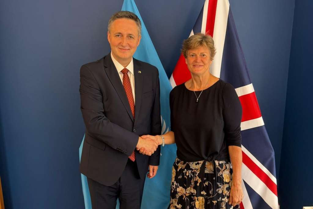 BiH Presidency Member met with the Permanent Representative of Great Britain to the UN