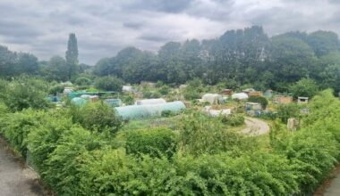 Kirkstall: Opposition grows to potential development of 'vital' allotments